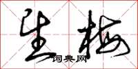 曾庆福望梅草书怎么写