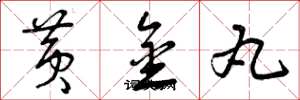 曾庆福黄金丸草书怎么写