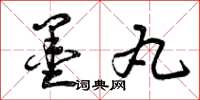 曾庆福墨丸草书怎么写