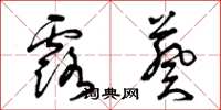 曾庆福露葵草书怎么写
