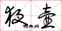 曾庆福夜壶草书怎么写