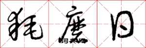 曾庆福耗磨日草书怎么写