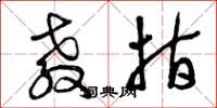 曾庆福教指草书怎么写