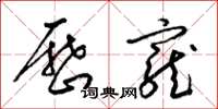 梁锦英历宠草书怎么写