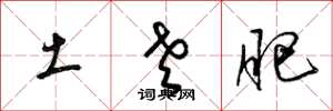 梁锦英土老肥草书怎么写