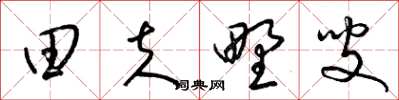 梁锦英田夫野叟草书怎么写