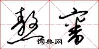 梁锦英熬审草书怎么写