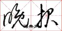 骆恒光晚报草书怎么写