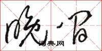 骆恒光晚间草书怎么写