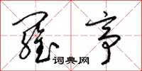 梁锦英罗亭草书怎么写