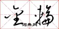 梁锦英金轮草书怎么写
