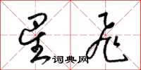 梁锦英星飞草书怎么写