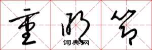 梁锦英重明节草书怎么写
