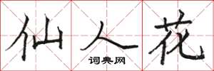骆恒光仙人花楷书怎么写
