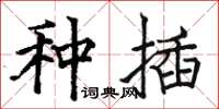 骆恒光种插楷书怎么写
