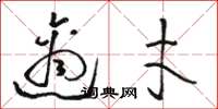 骆恒光适才草书怎么写