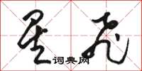 骆恒光星飞草书怎么写