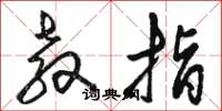 骆恒光教指草书怎么写