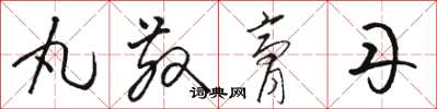 骆恒光丸散膏丹草书怎么写