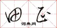 骆恒光田正草书怎么写