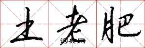 钱沛云土老肥行书怎么写