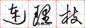 骆恒光连理枝草书怎么写