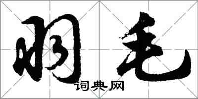 胡问遂羽毛行书怎么写