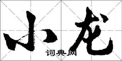 胡问遂小龙行书怎么写