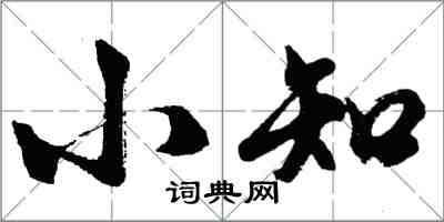 胡问遂小知行书怎么写