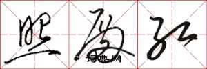 骆恒光照殿红草书怎么写
