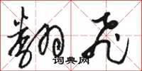骆恒光翻飞草书怎么写