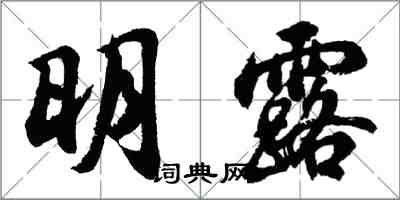 胡问遂明露行书怎么写