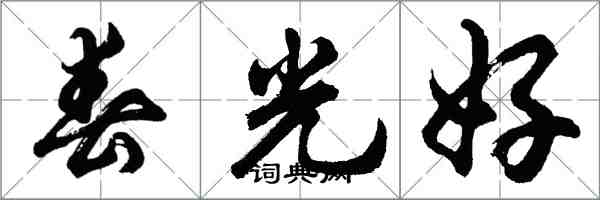 胡问遂春光好行书怎么写