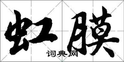 胡问遂虹膜行书怎么写