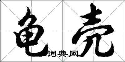 胡问遂龟壳行书怎么写