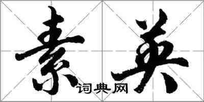胡问遂素英行书怎么写