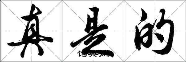 胡问遂真是的行书怎么写