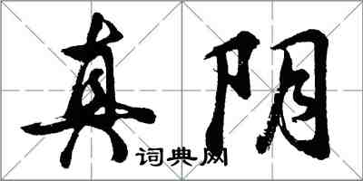 胡问遂真阴行书怎么写