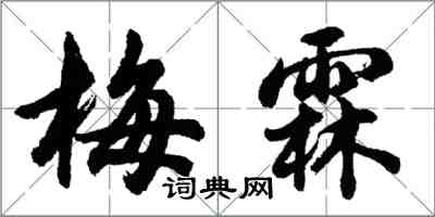 胡问遂梅霖行书怎么写