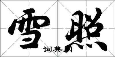 胡问遂雪照行书怎么写