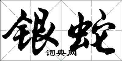 胡问遂银蛇行书怎么写
