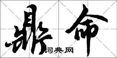 胡问遂鼎命行书怎么写