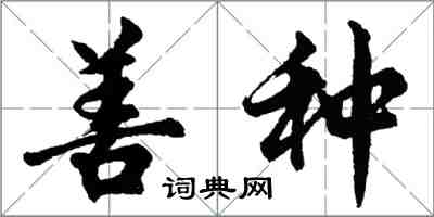 胡问遂善种行书怎么写