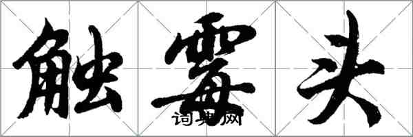 胡问遂触霉头行书怎么写