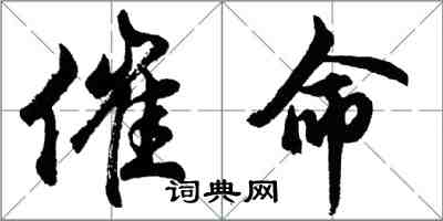 胡问遂催命行书怎么写