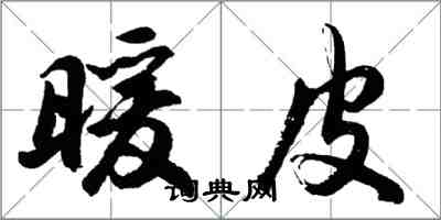 胡问遂暖皮行书怎么写