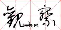 王冬龄观察草书怎么写