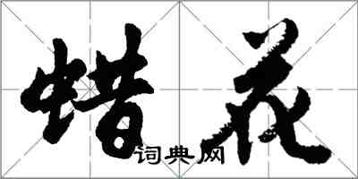 胡问遂蜡花行书怎么写