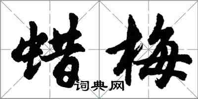 胡问遂蜡梅行书怎么写