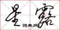 骆恒光星露行书怎么写